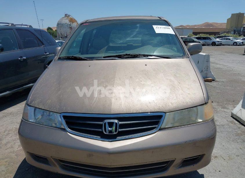 Photo 6 of 2003 Honda Odyssey EX-L (VIN 5FNRL18993B127164)