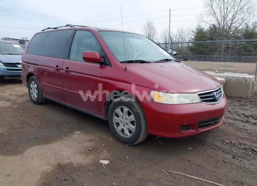 2004 Honda Odyssey EX-L (VIN 5FNRL18994B091428) main photo
