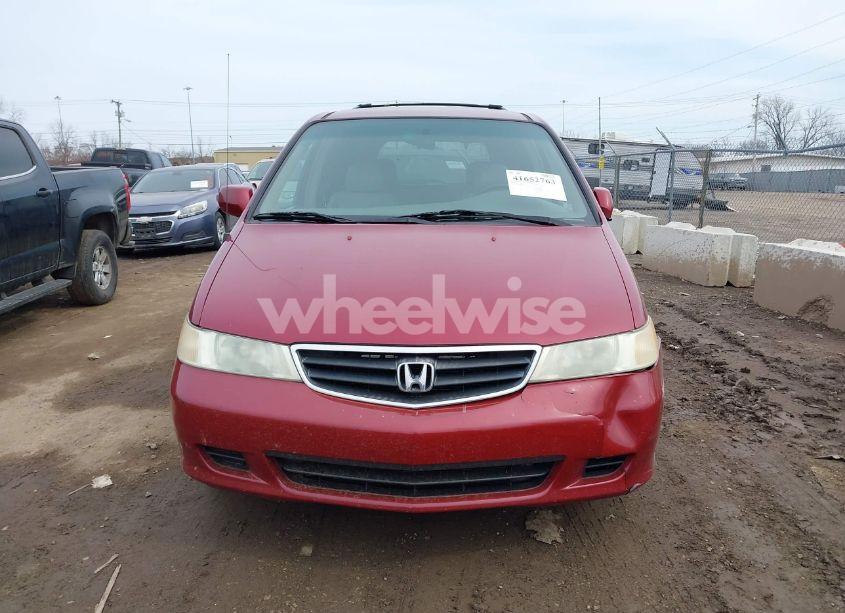 Photo 12 of 2004 Honda Odyssey EX-L (VIN 5FNRL18994B091428)