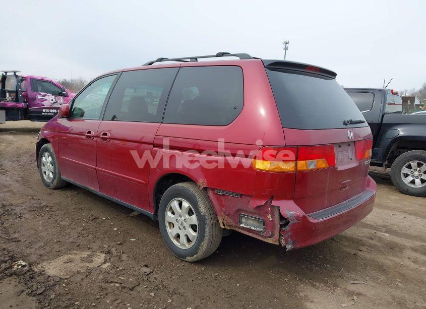 Photo 3 of 2004 Honda Odyssey EX-L (VIN 5FNRL18994B091428)