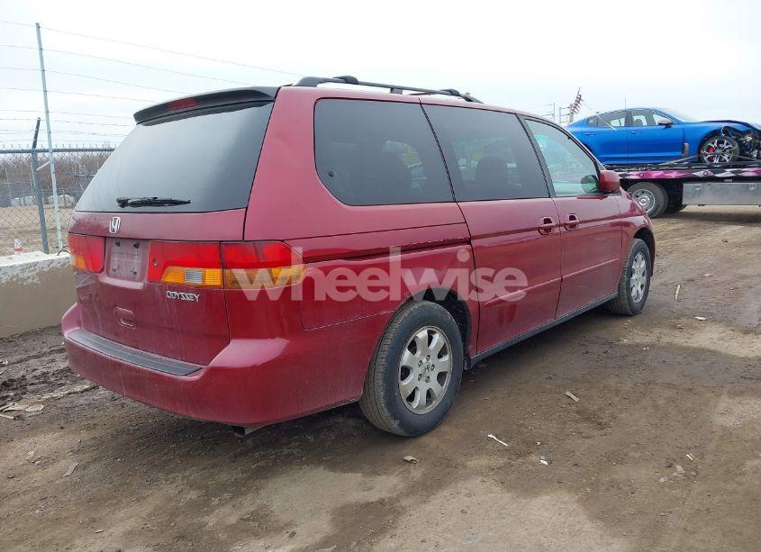 Photo 4 of 2004 Honda Odyssey EX-L (VIN 5FNRL18994B091428)