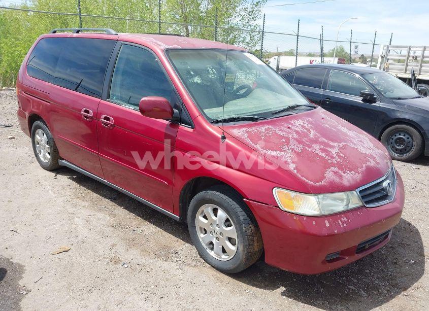 2003 Honda Odyssey EX-L (VIN 5FNRL189X3B135872) main photo