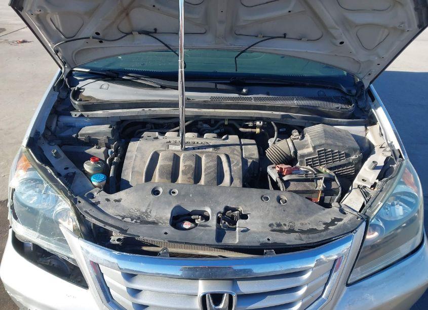 Photo 10 of 2008 Honda Odyssey LX (VIN 5FNRL38208B069130)