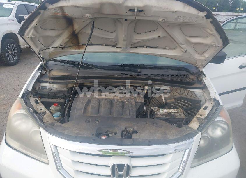 Photo 10 of 2009 Honda Odyssey LX (VIN 5FNRL38219B053472)