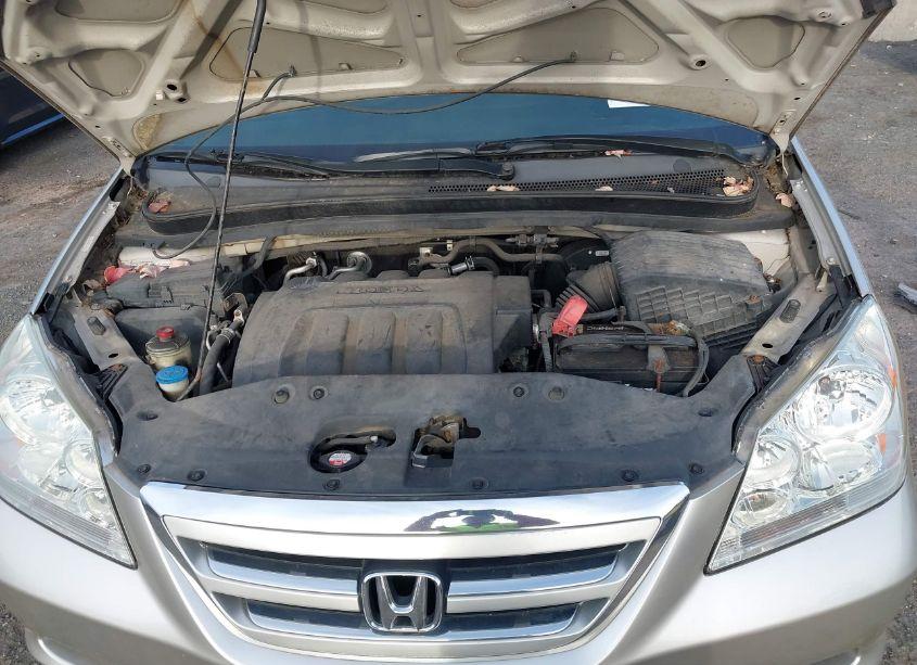 Photo 10 of 2006 Honda Odyssey LX (VIN 5FNRL38226B007869)