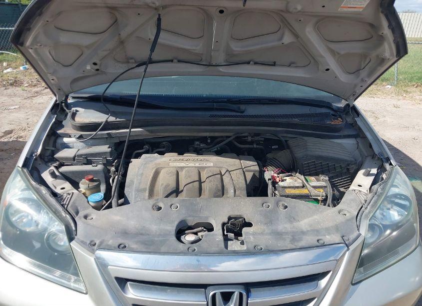 Photo 10 of 2006 Honda Odyssey LX (VIN 5FNRL38236B060838)