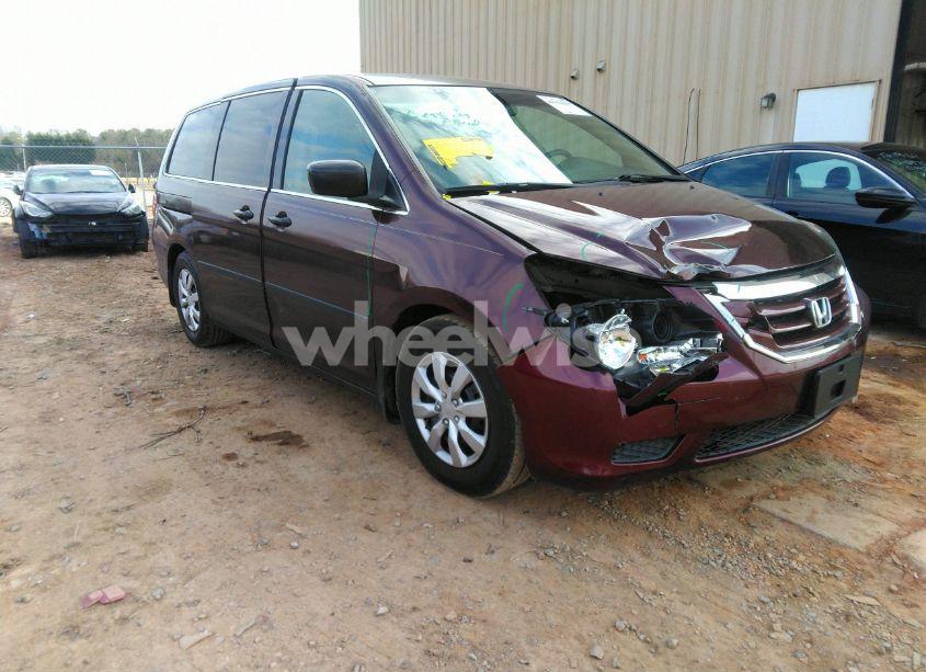 2009 Honda Odyssey LX (VIN 5FNRL38239B012129) main photo