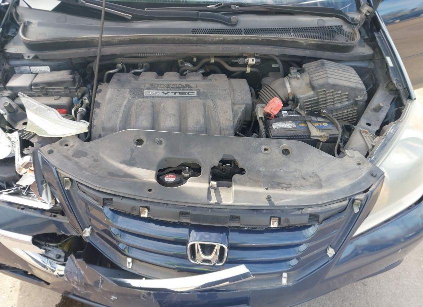 Photo 10 of 2009 Honda Odyssey LX (VIN 5FNRL38239B058379)