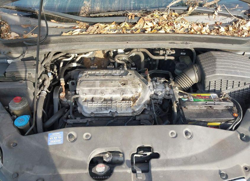 Photo 10 of 2005 Honda Odyssey LX (VIN 5FNRL38245B093281)