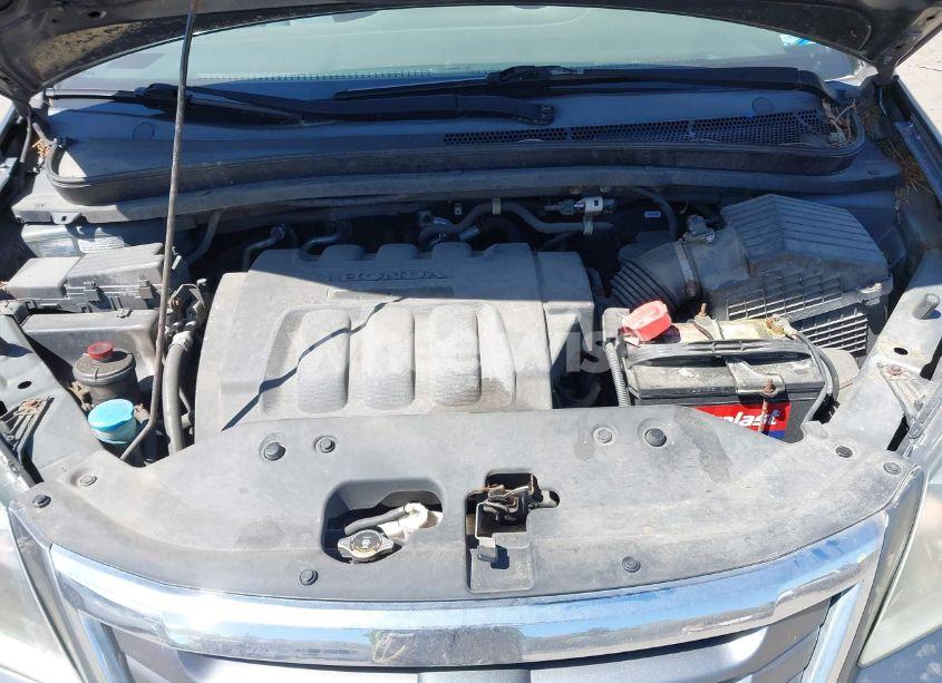 Photo 10 of 2009 Honda Odyssey LX (VIN 5FNRL38249B010504)