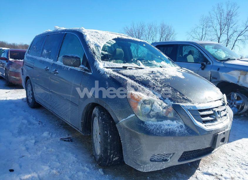 2008 Honda Odyssey LX (VIN 5FNRL38258B091785) main photo