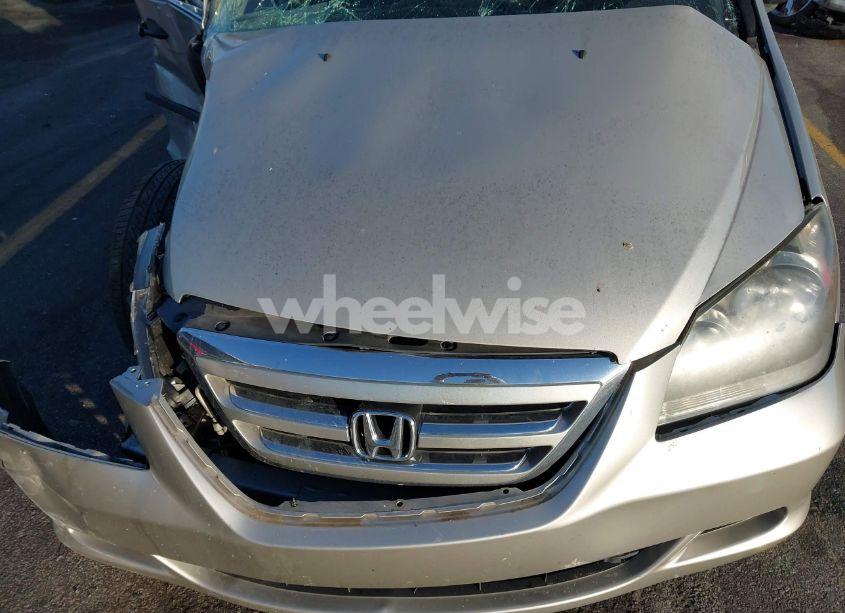 Photo 10 of 2005 Honda Odyssey LX (VIN 5FNRL38275B125057)