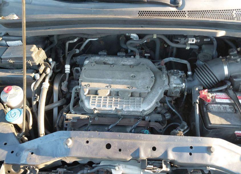 Photo 10 of 2009 Honda Odyssey LX (VIN 5FNRL38279B042394)