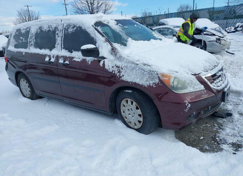 2008 Honda Odyssey LX (VIN 5FNRL382X8B008805) main photo
