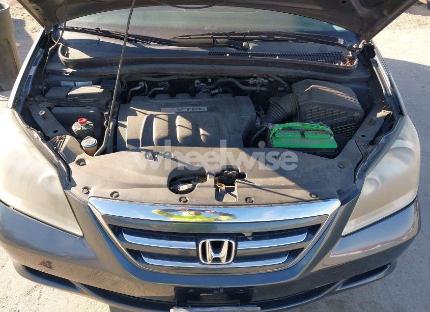 Photo 10 of 2005 Honda Odyssey EX (VIN 5FNRL38405B425296)