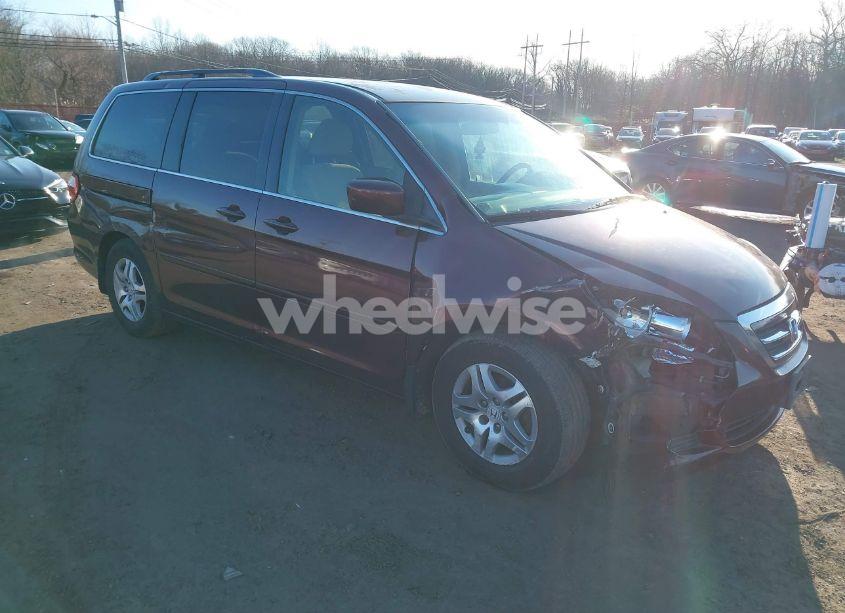 2007 Honda Odyssey EX (VIN 5FNRL38407B042882) main photo