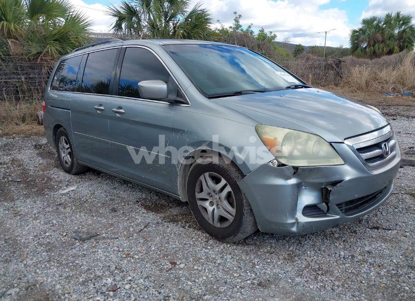 2005 Honda Odyssey EX (VIN 5FNRL38415B073359) main photo
