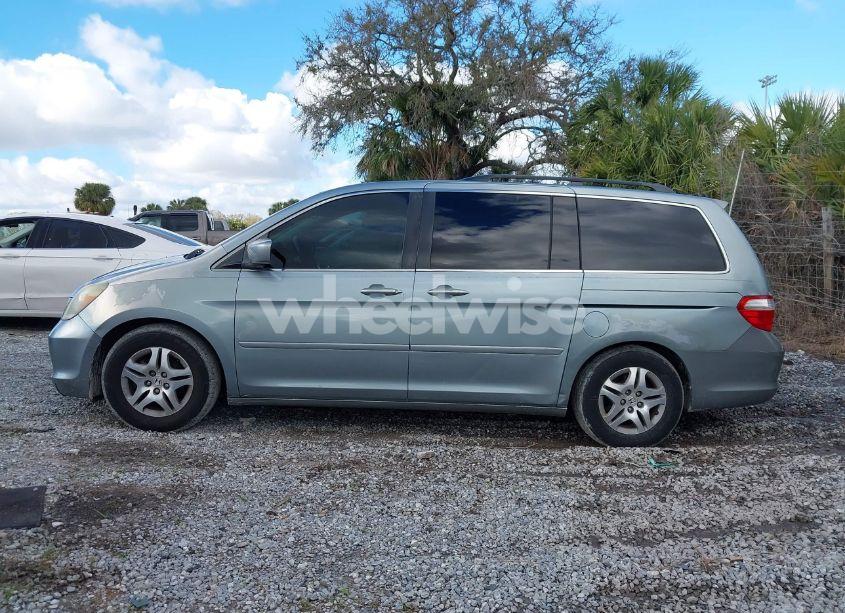 Photo 14 of 2005 Honda Odyssey EX (VIN 5FNRL38415B073359)