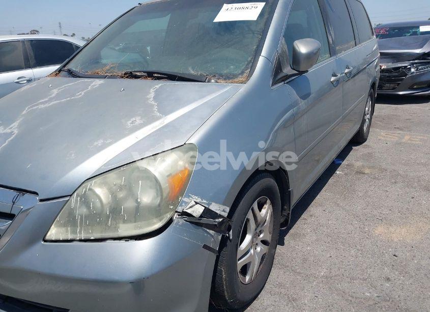 Photo 6 of 2005 Honda Odyssey EX (VIN 5FNRL38415B086709)