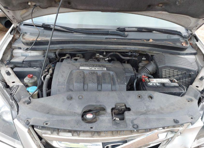 Photo 10 of 2005 Honda Odyssey EX (VIN 5FNRL38415B420477)