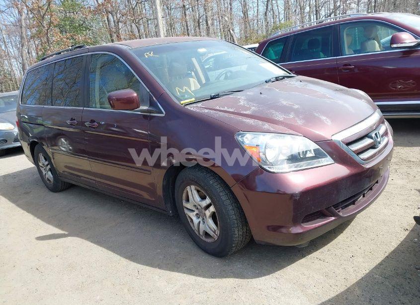2007 Honda Odyssey EX (VIN 5FNRL38417B052384) main photo