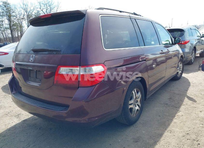 Photo 4 of 2007 Honda Odyssey EX (VIN 5FNRL38417B052384)