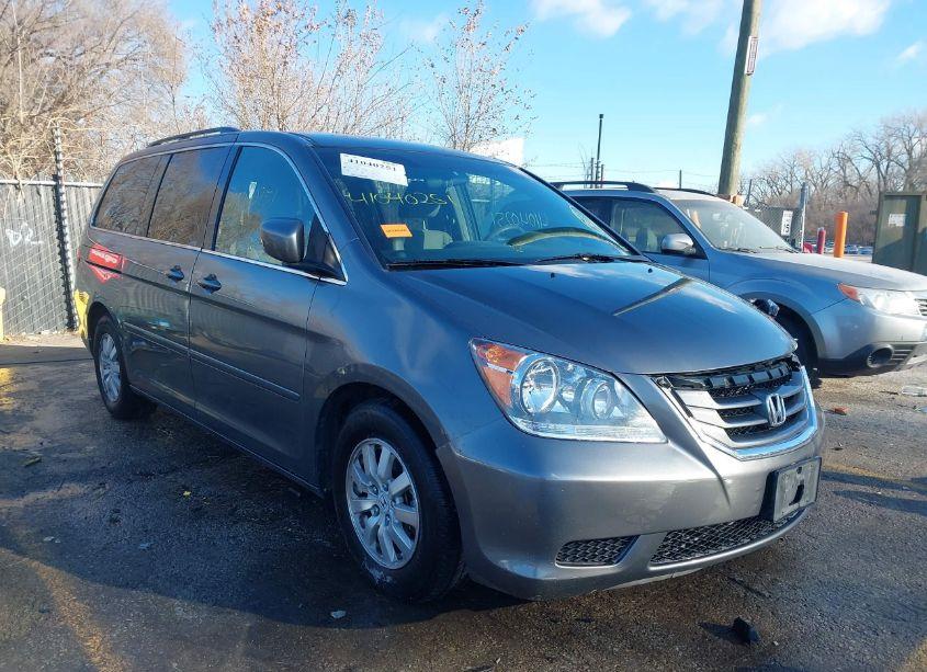 2009 Honda Odyssey EX (VIN 5FNRL38419B020912) main photo