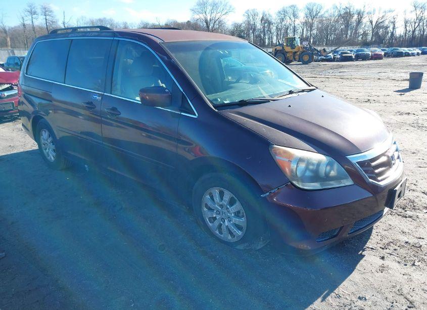 2009 Honda Odyssey EX (VIN 5FNRL38419B027214) main photo