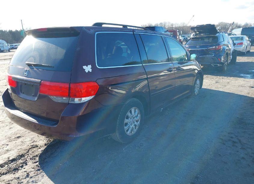 Photo 4 of 2009 Honda Odyssey EX (VIN 5FNRL38419B027214)