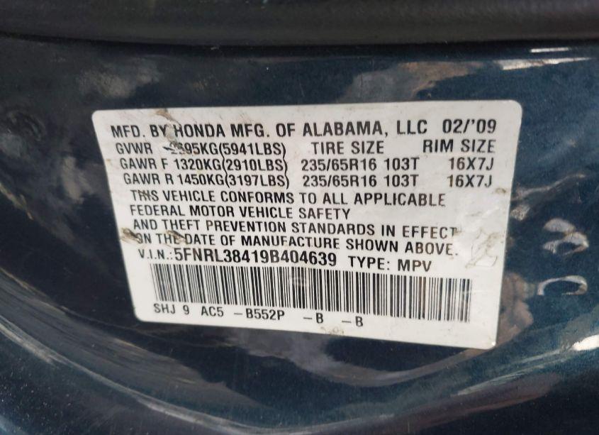 Photo 9 of 2009 Honda Odyssey EX (VIN 5FNRL38419B404639)