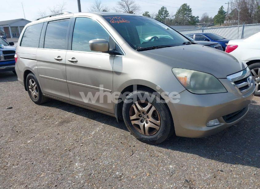 2005 Honda Odyssey EX (VIN 5FNRL38425B409715) main photo