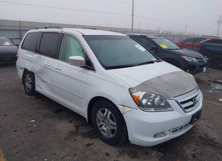 2005 Honda Odyssey EX (VIN 5FNRL38425B411772) main photo
