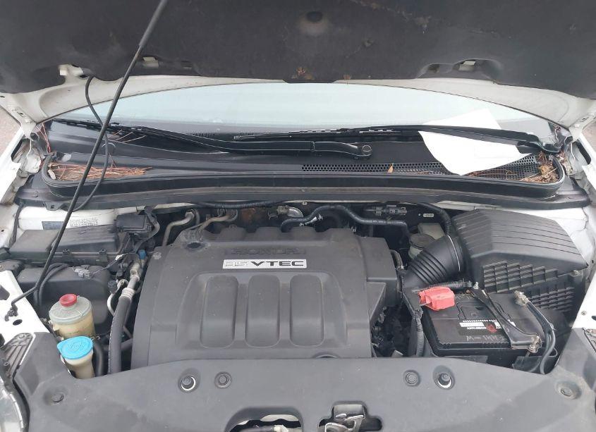 Photo 10 of 2005 Honda Odyssey EX (VIN 5FNRL38425B411772)