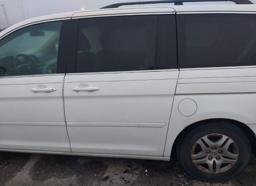 Photo 14 of 2005 Honda Odyssey EX (VIN 5FNRL38425B411772)