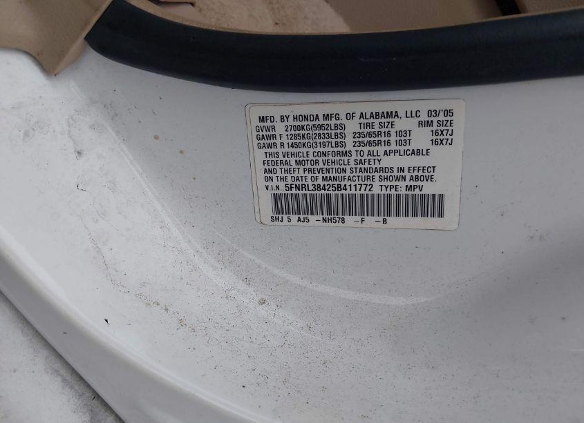 Photo 9 of 2005 Honda Odyssey EX (VIN 5FNRL38425B411772)