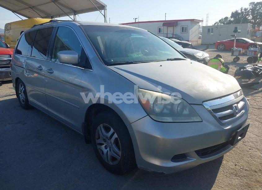 2007 Honda Odyssey EX (VIN 5FNRL38427B072630) main photo