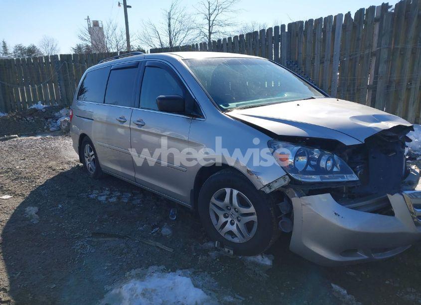 2007 Honda Odyssey EX (VIN 5FNRL38427B402590) main photo