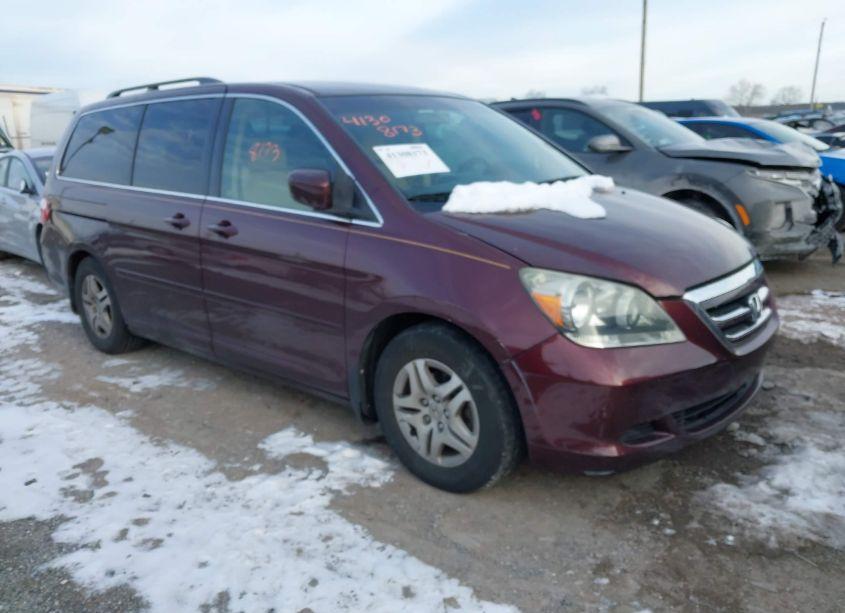 2007 Honda Odyssey EX (VIN 5FNRL38427B445004) main photo