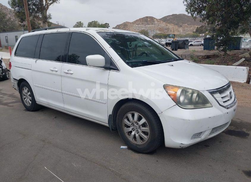 2009 Honda Odyssey EX (VIN 5FNRL38429B011720) main photo