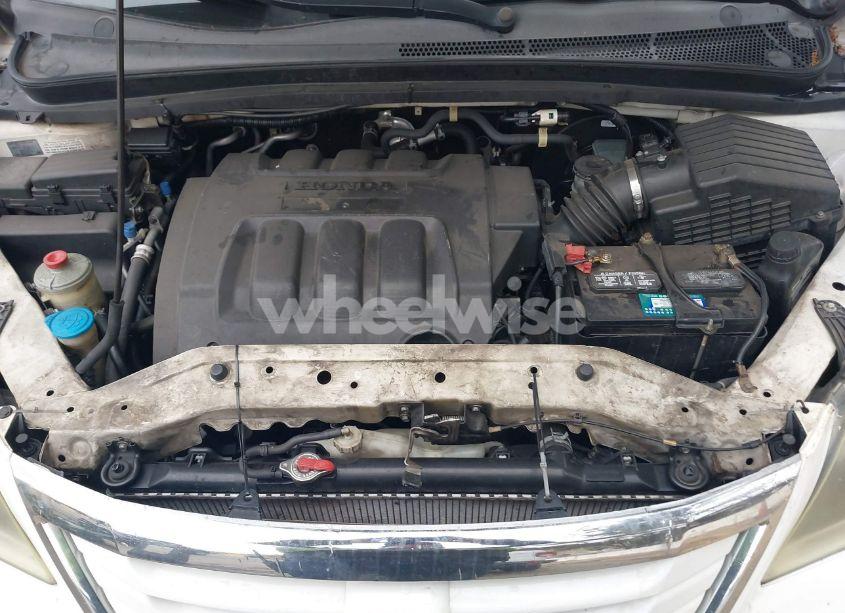 Photo 10 of 2009 Honda Odyssey EX (VIN 5FNRL38429B011720)