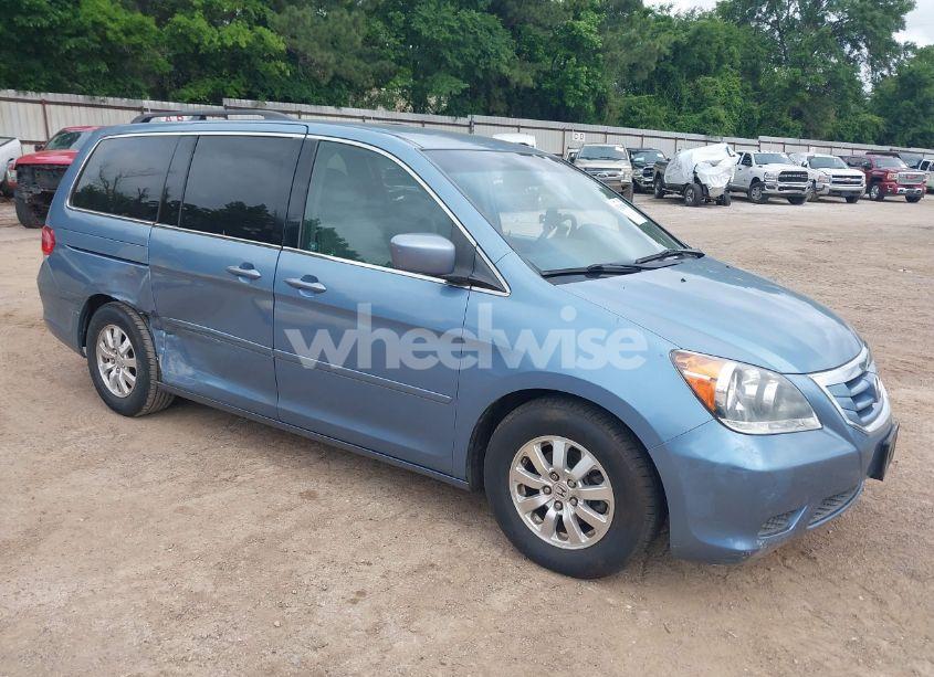 2009 Honda Odyssey EX (VIN 5FNRL38429B051537) main photo