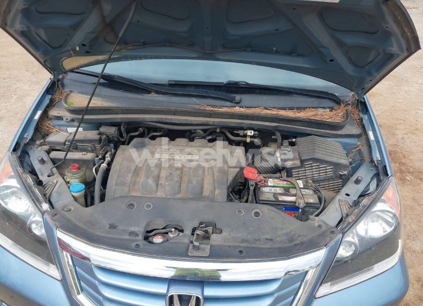 Photo 10 of 2009 Honda Odyssey EX (VIN 5FNRL38429B051537)