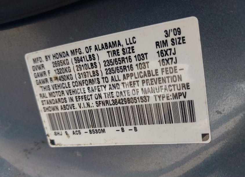 Photo 9 of 2009 Honda Odyssey EX (VIN 5FNRL38429B051537)