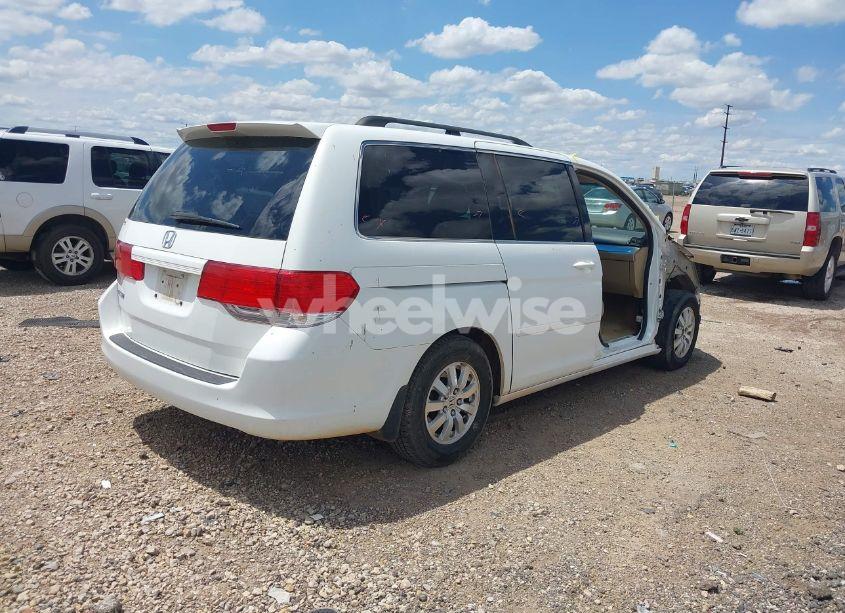 Photo 4 of 2009 Honda Odyssey EX (VIN 5FNRL38429B406383)
