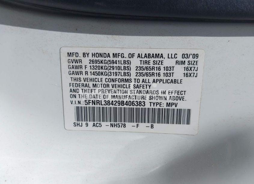 Photo 9 of 2009 Honda Odyssey EX (VIN 5FNRL38429B406383)