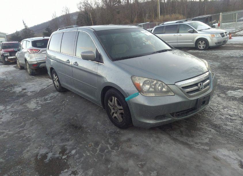2005 Honda Odyssey EX (VIN 5FNRL38435B084816) main photo