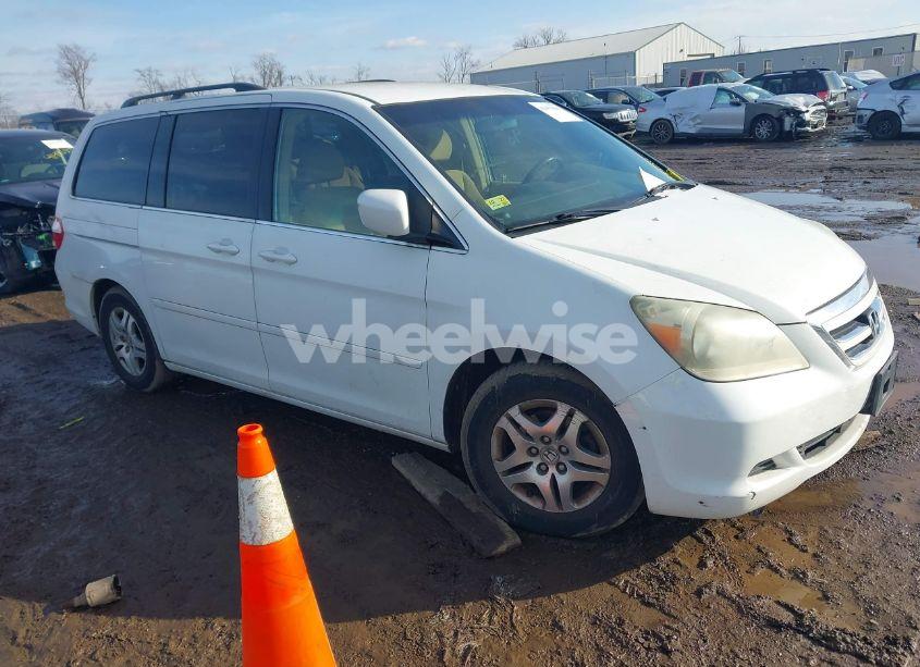 2005 Honda Odyssey EX (VIN 5FNRL38435B425227) main photo
