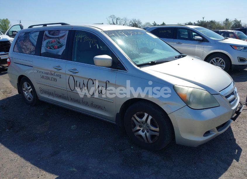 2007 Honda Odyssey EX (VIN 5FNRL38437B441110) main photo