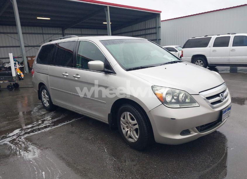 2007 Honda Odyssey EX (VIN 5FNRL38437B451300) main photo