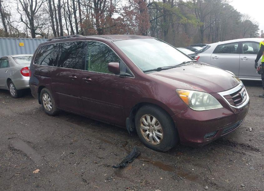 2008 Honda Odyssey EX (VIN 5FNRL38438B024362) main photo